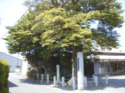 夫婦槇の遠景