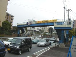 陸端中央の桃色建物の右横の樹木が原のいぼとり地蔵