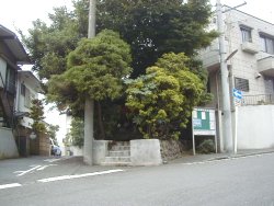 樹木の中に原のいぼとり地蔵