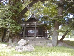 鳥居前の天然石の御手洗がいぼ石