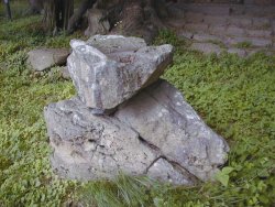 岩の窪みの溜り水をイボにつける