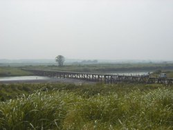 荒川下流側から見た久下橋