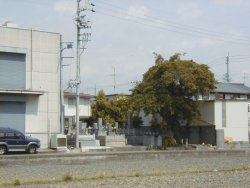 浜川ふれあい橋の近くの小さな墓地
