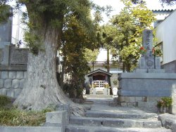 墓地の奥に椙地蔵尊