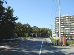 マンションの向いがいぼ神様