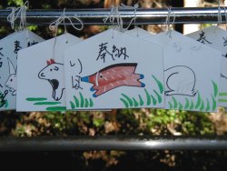 奉納されたいぼ取り祈願の絵馬