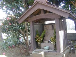 椿満開の椿地蔵