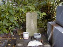 宇津木大明神の拡大